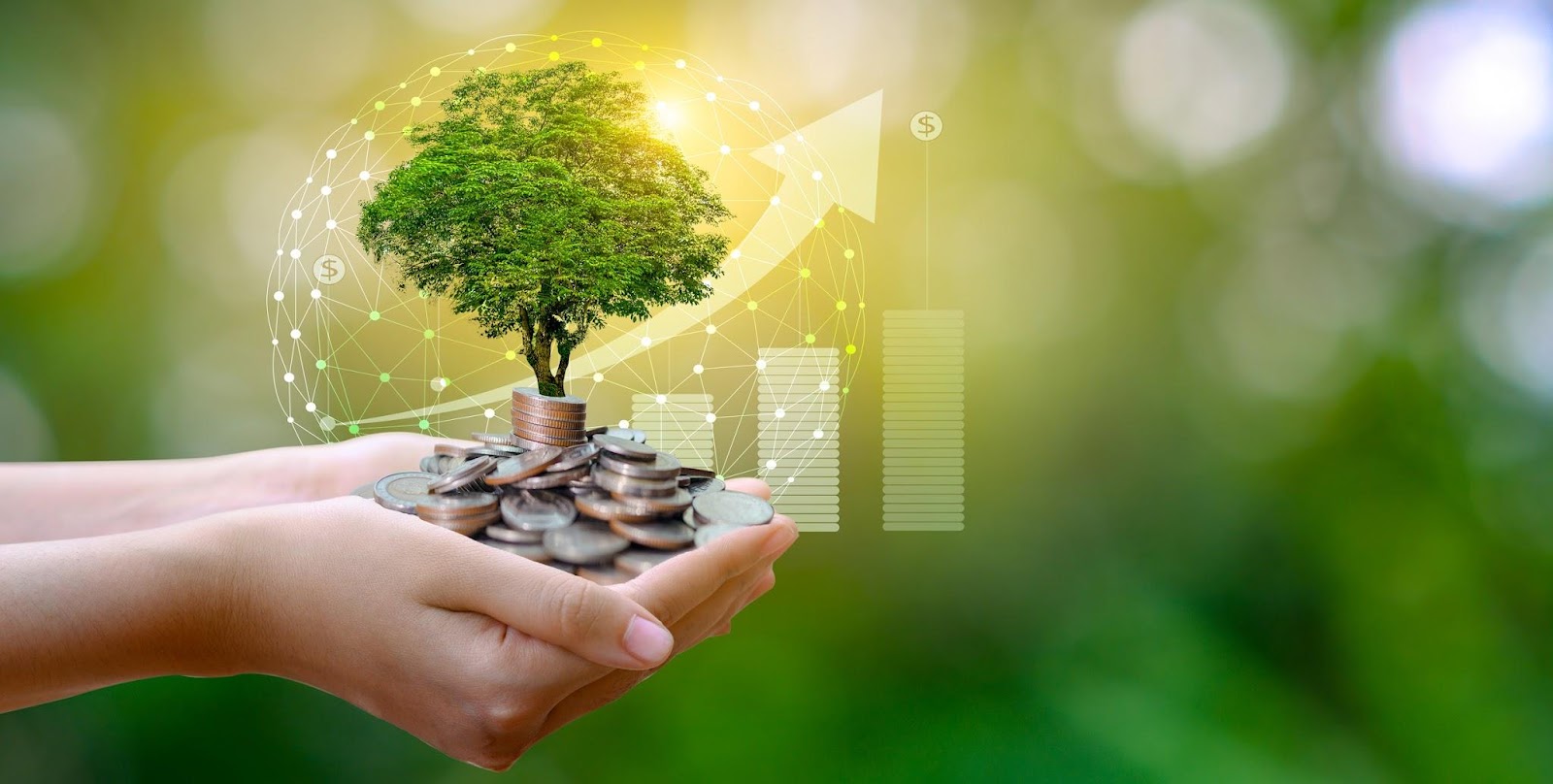 Eco-friendly economy