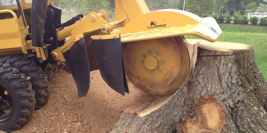 How long does it take to grind a single stump