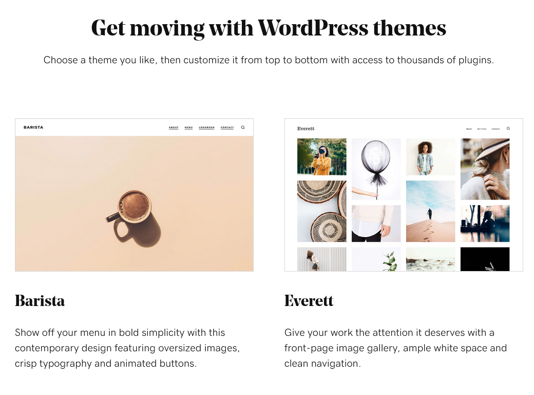 Screenshot examples of WordPress themes