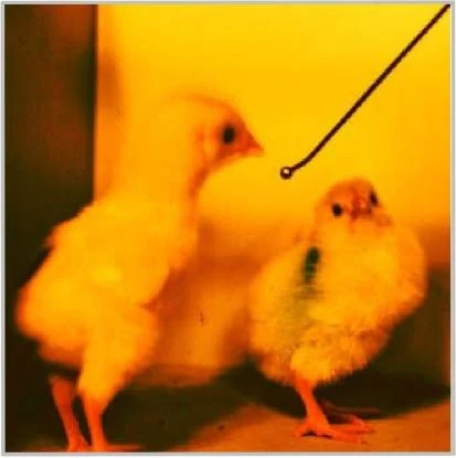 https://lh3.googleusercontent.com/goqXKDZDV69VIXWnvwYv7f_Nqv-jU4jFMSdWsHI9xLPhAYzNVGC2MhgGXctd8uLAj6oVf8AKXlLRiwKTSkYosjxX65KGm7W7BLz5C-eSaBbvluV9M8zgnYQ9EkLxWfutiZotbDcZ0leEykJar1jYBDaggLzZOgZBvA8r2StX2xnLXnMna7KxcSc6p7HrayeuWf0