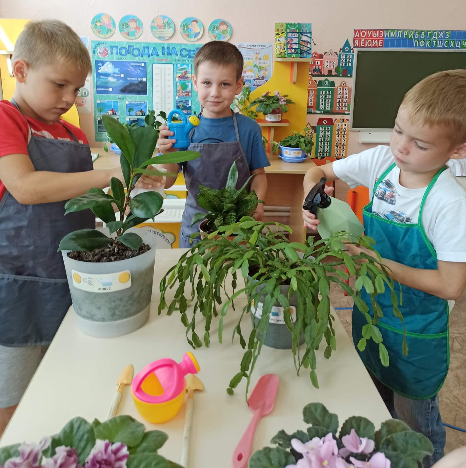 Зелёный патруль в уголке природы