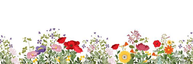 Flower Border Vector Images (over 210,000)