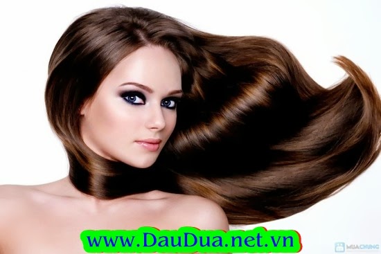 Tác dụng của tinh dầu dừa giúp trị gàu hiệu quả Tác dụng của tinh dầu dừa giúp trị gàu hiệu quả