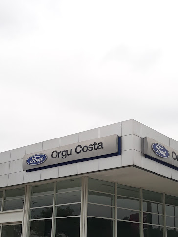 Orgu Costa