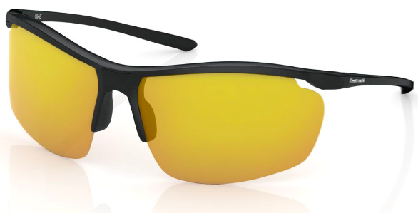 A pair of sunglasses

Description automatically generated with medium confidence