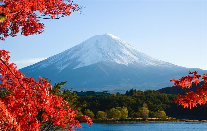 Mùa thu, lá phong và núi Phú Sĩ