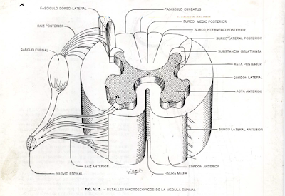 Diagrama

Descripción generada automáticamente