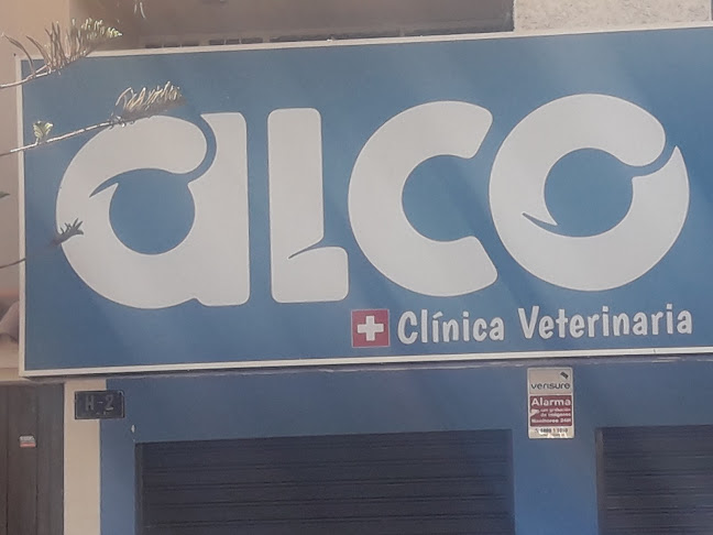 Alco - Arequipa