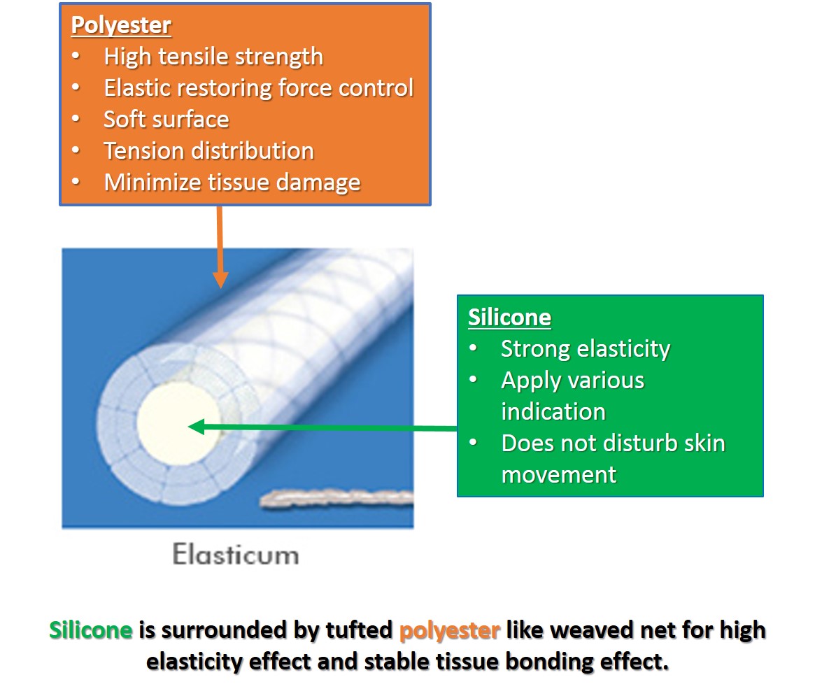 Elasticum.jpg