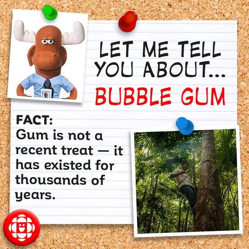 Gum has existed for thousands of years.