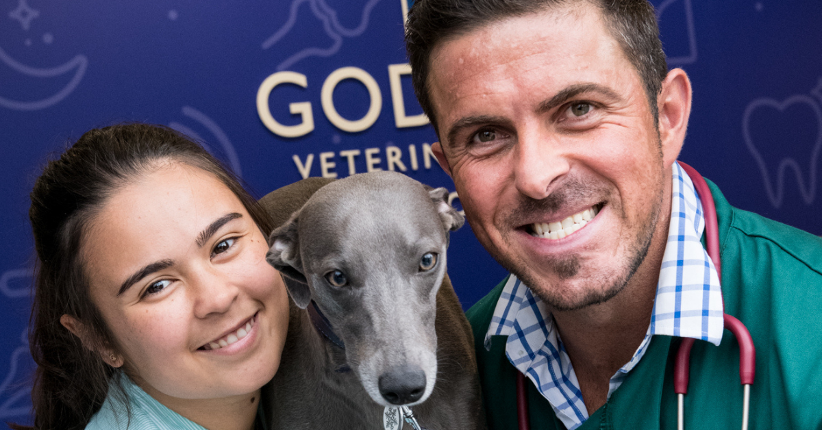 Goddard Veterinary Group Chalfont St Peter Lower Road Chalfont Saint Peter Gerrards Cross

