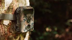 5 กล้องติดตามสัตว์ป่า ที่คัดมาเพื่อสายเดินป่าแห่งปี 2022 โดยเฉพาะ ! 1