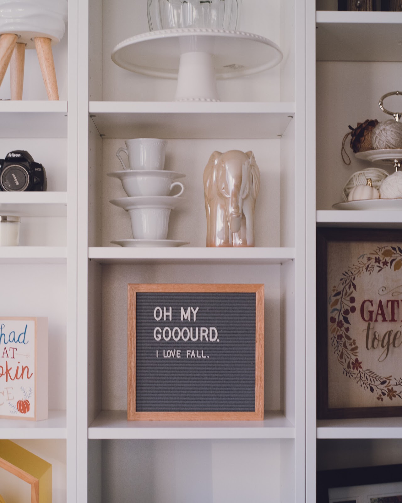 fall-bookshelf-decor-lily-muffins