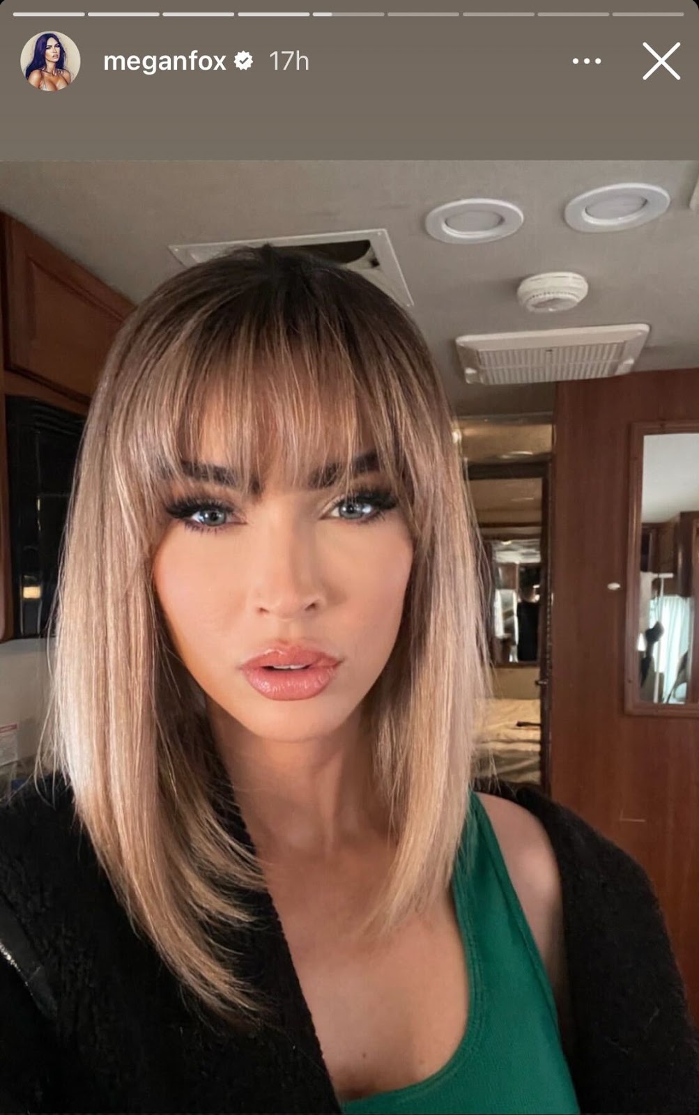 Megan Fox Instagram story