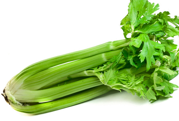 الكرفس1