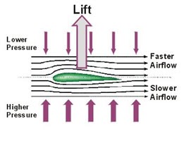 Physics 111: Fundamental Physics I: Bernoulli's Principle and Flight