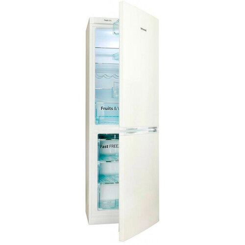 Внешний вид холодильника Snaige RF58SG-S500260