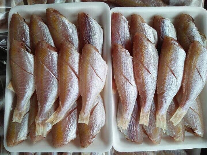 Cá Hồng phèn 1 nắng – Biển Quỳnh Food 8FADT572QTdOB11SILlaToZC9Fmgrbni4lSTM0yNYmZ2p1W4nIMfUD7vsXlWQPIPrMxHhAiozitHeEYUMpLtGHsU115hpbUDhMiG85axrR3yktgpzRqd7gytt-0Tbi6UN9e9irgl