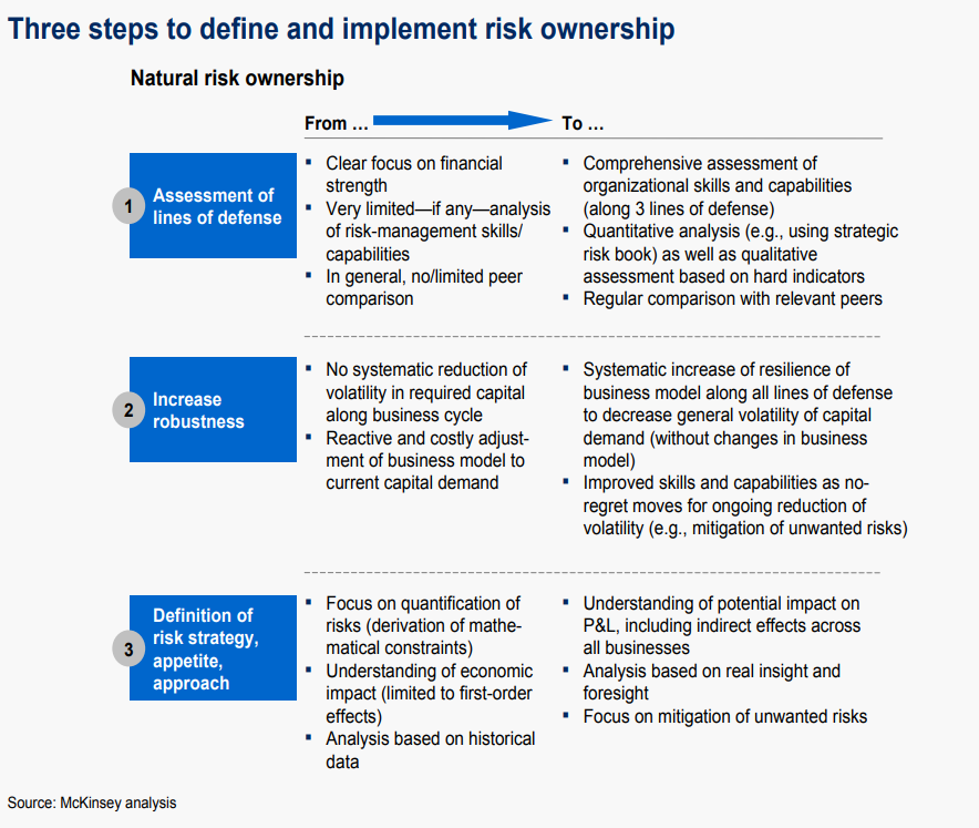 risk ownership