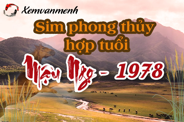 sim-phong-thuy-hop-tuoi-1978