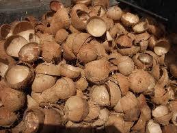 C:\Users\PROCONTEC LTD\Desktop\Agritech Digest Kenneth\Image Processing Waste\download (5).jpeg