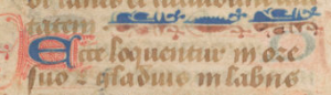 A close up of a blue and red initial and a blue and red line fill. 