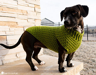 25+ Free Dog Clothes Patterns