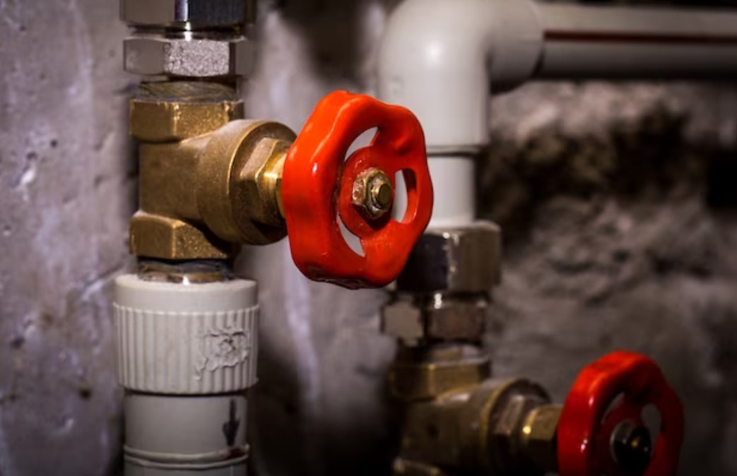  What Are Common Valve Problems?