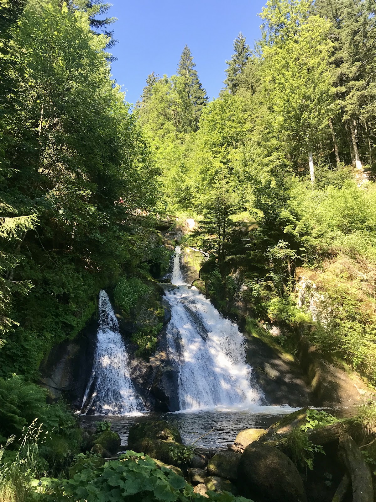 germany black forest triberg waterfalls