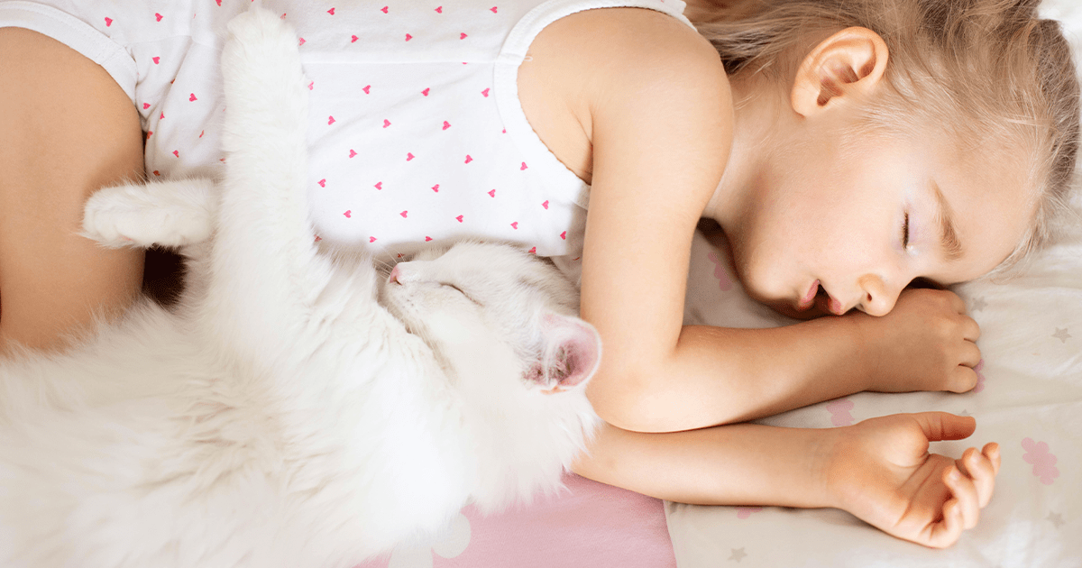 Young girl sleeping with sleeping white cat cuddled into her