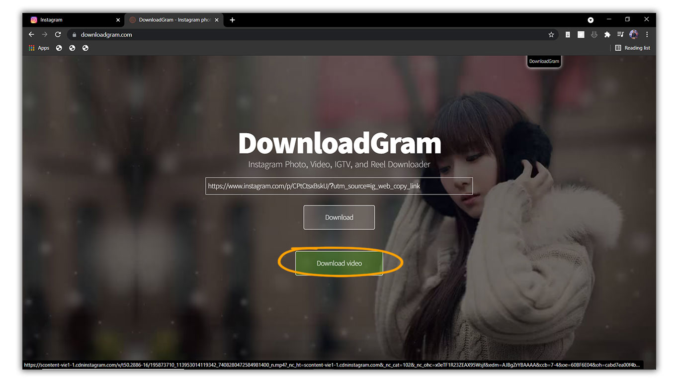 How to Download IG Videos on PC