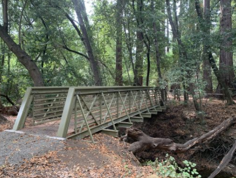 frp equestrian  bridge with truss bridge design