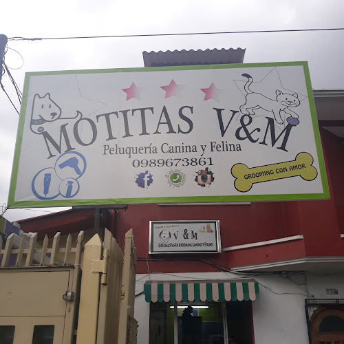 Motitas V&M - Peluquería