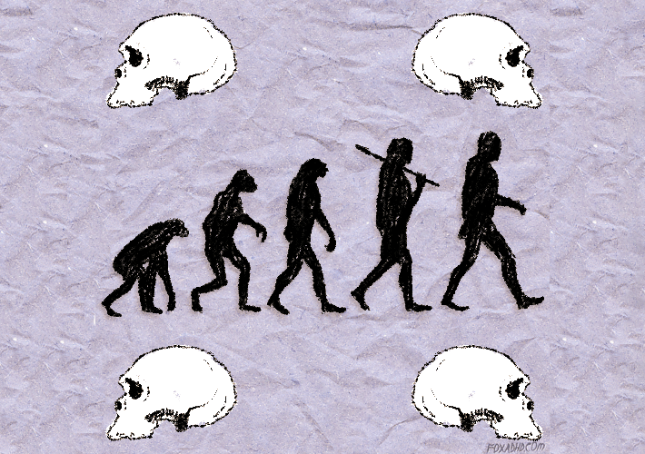 giphy-1.gif