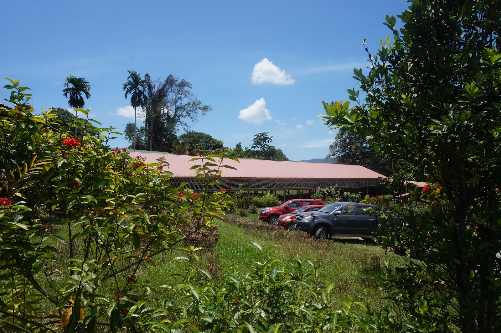 DSC08339.JPG
