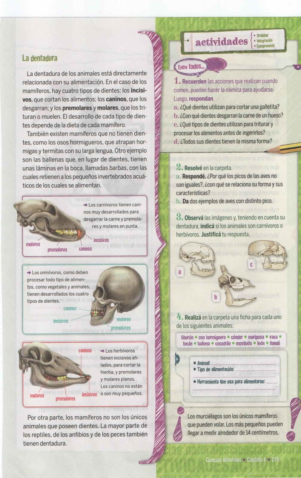 C:\Users\Usuario\Desktop\5º B-2021- GRETA\2021-06-15 MM\MM 001.jpg