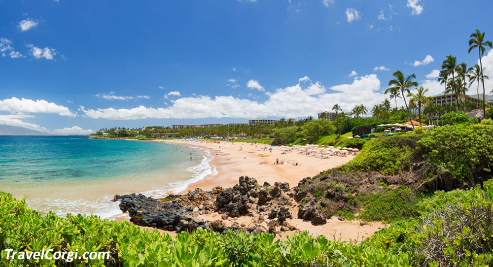 Polo Beach | Best Beaches In Kihei, Maui Hawaii
