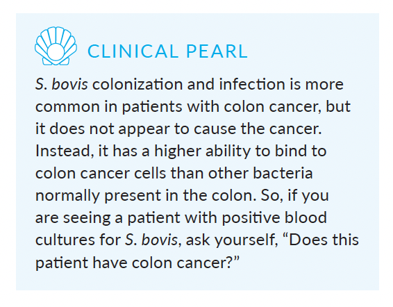 clinical pearl from medical student core microbiology book