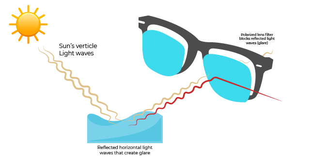 Illustration of how polarized light reflects off water and reaches sunglasses lenses
