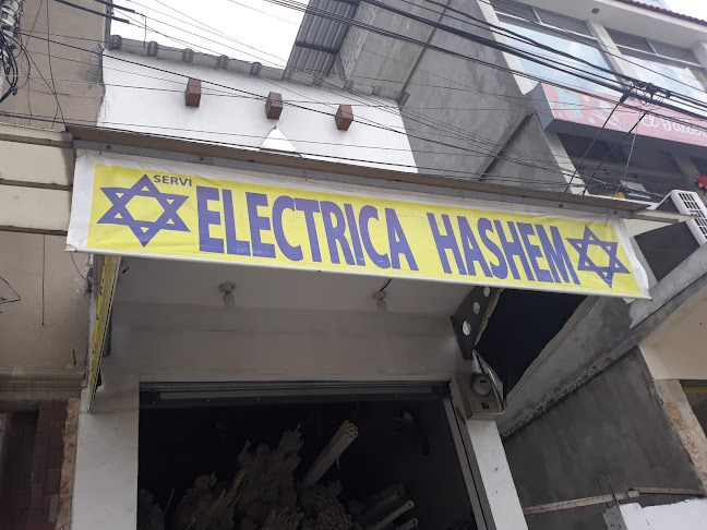 Electrica Hashem