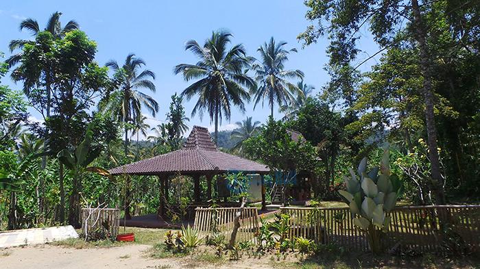 Desa Wisata Petang