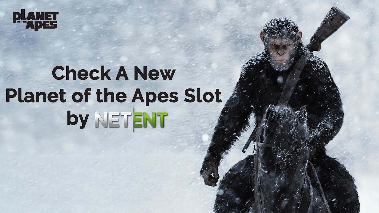 apes_en.jpg