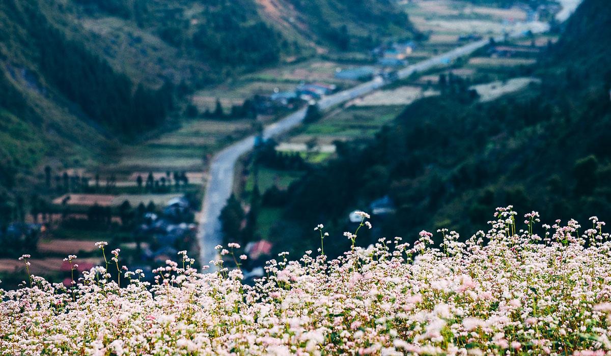tour-du-lich-dau-xuan-1
