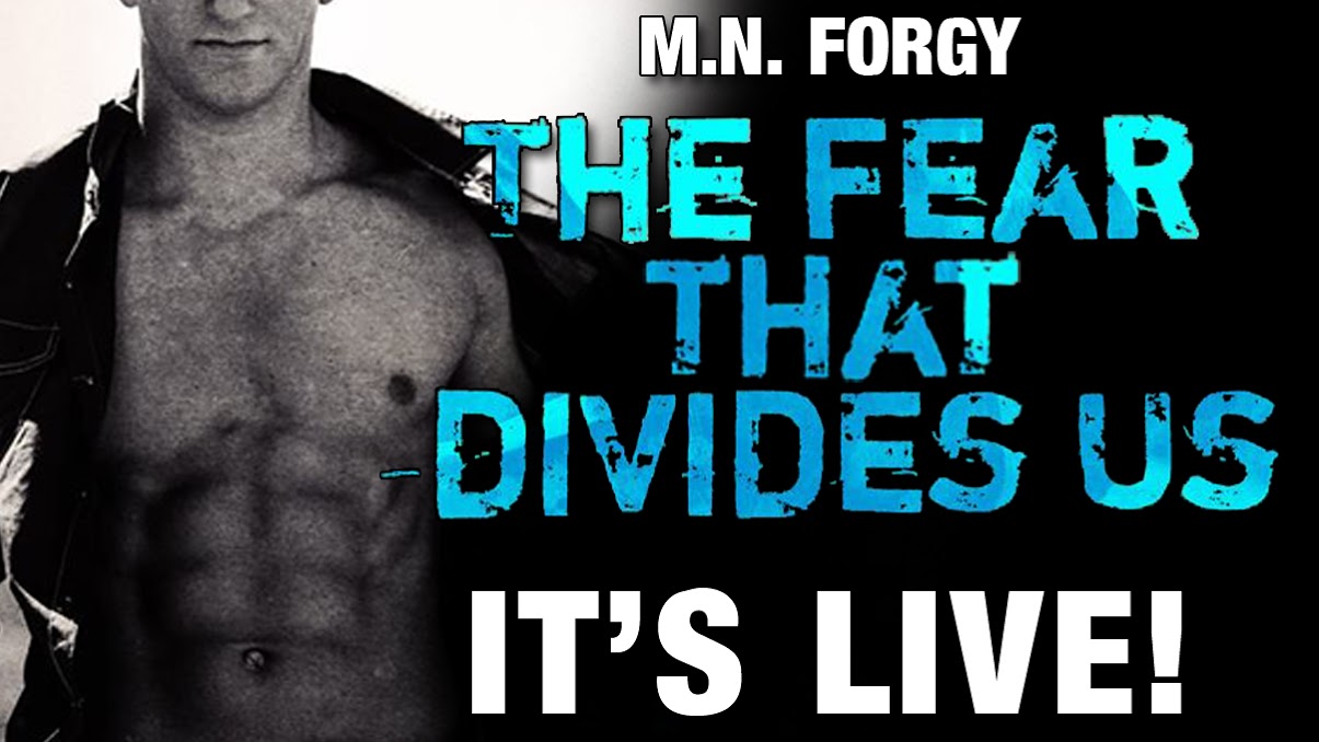the fear that divides us live.jpg