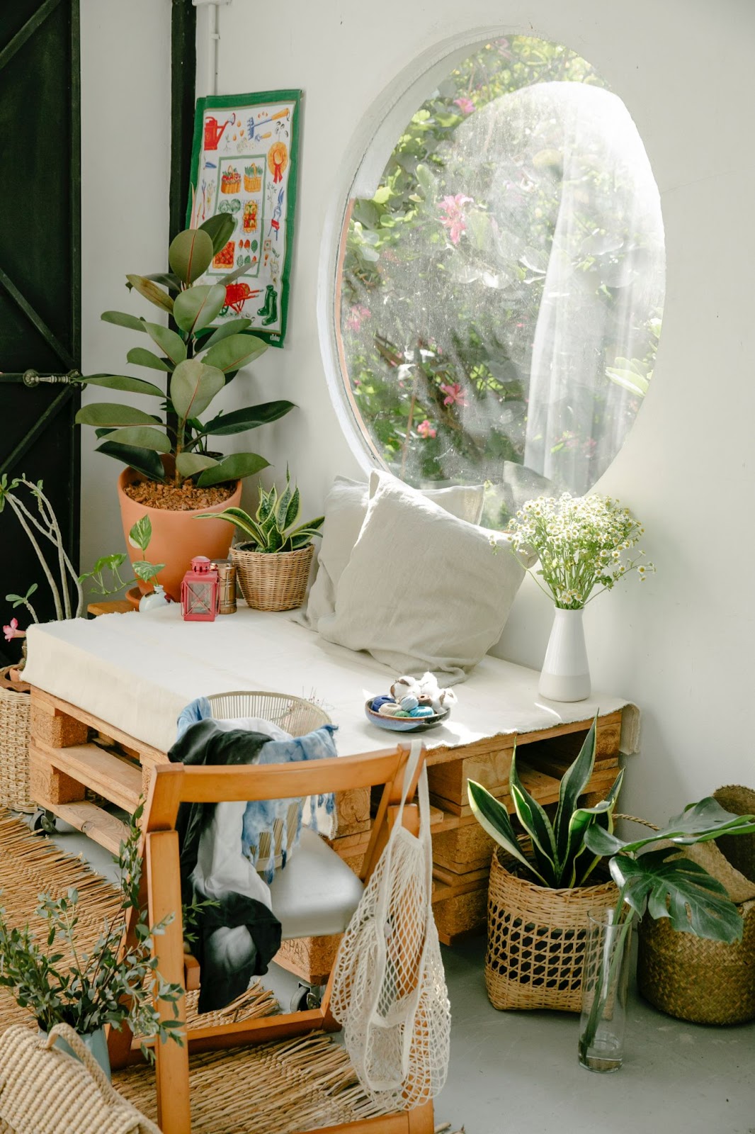 Simple lounge spot with plants and ample sunlight