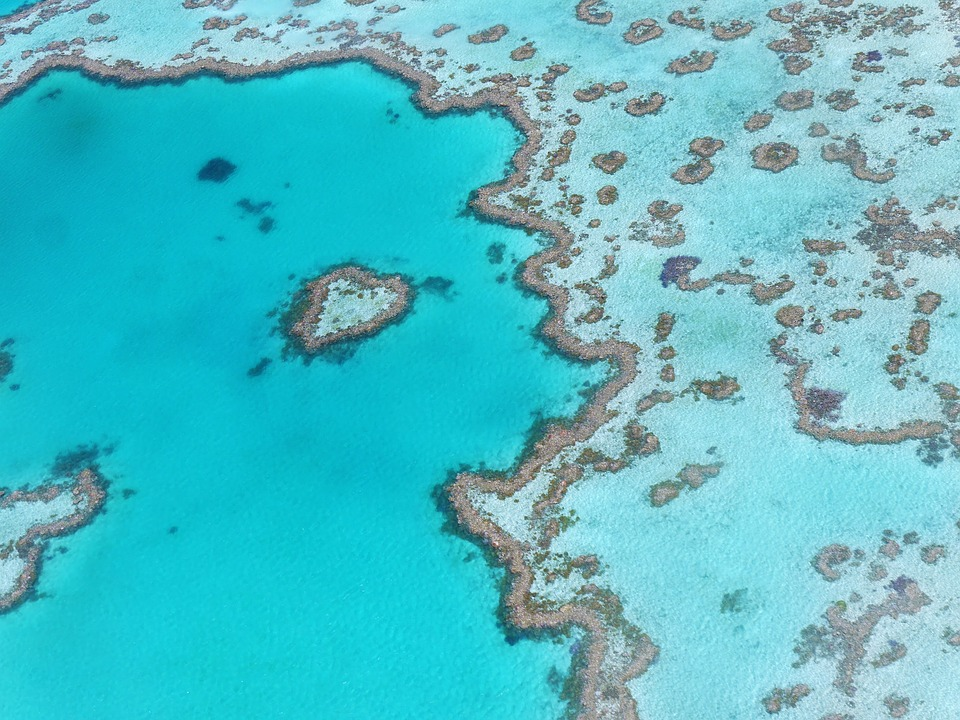 Gran Barrera de Coral en Cairns para vuestra Luna de Miel en Australia