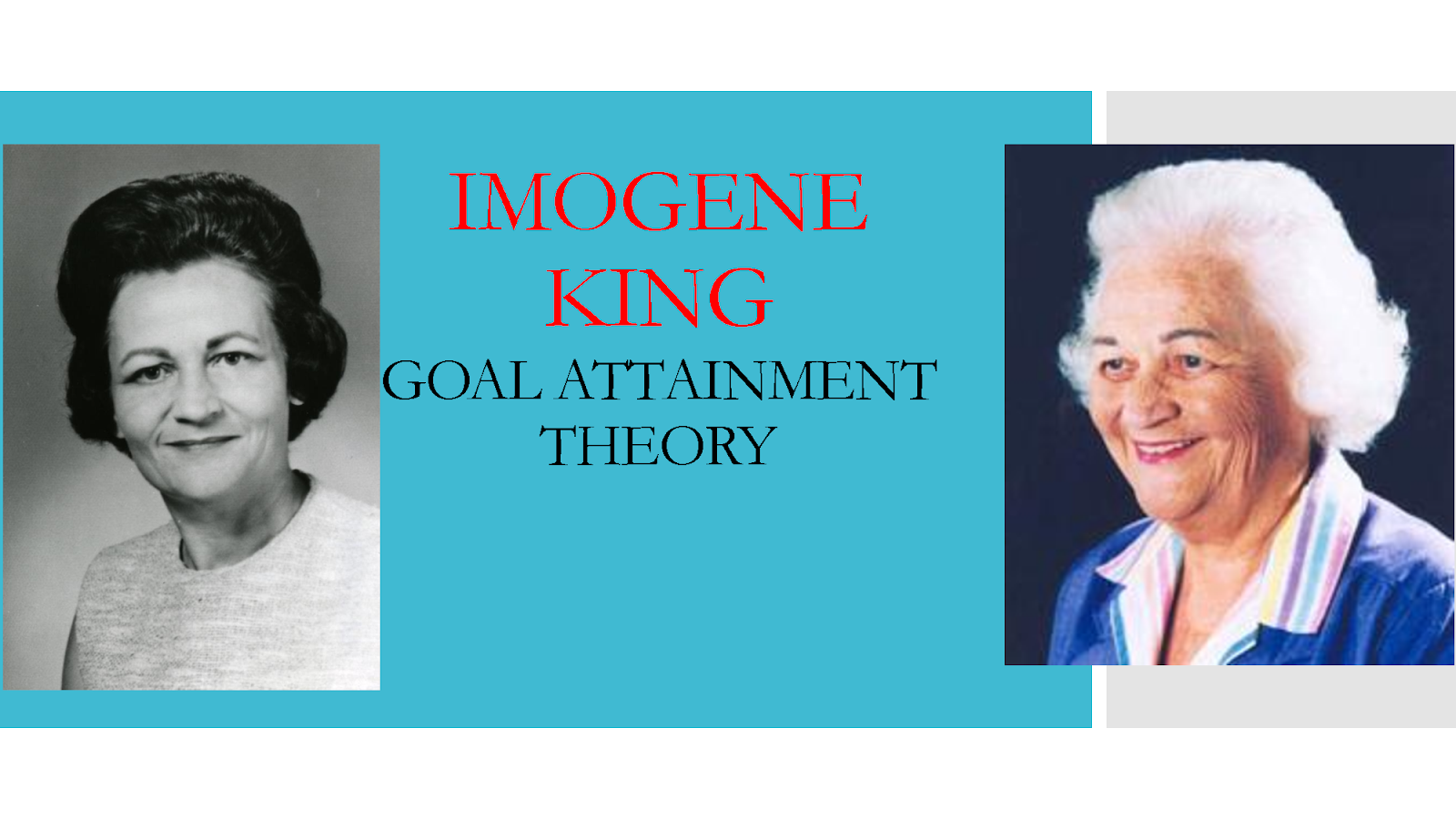 Imogene Kings Conceptual Systems Theory