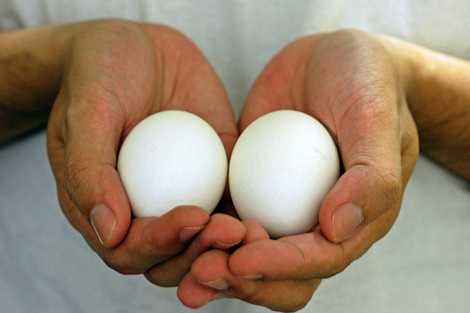 hands-eggs-940x626.jpg