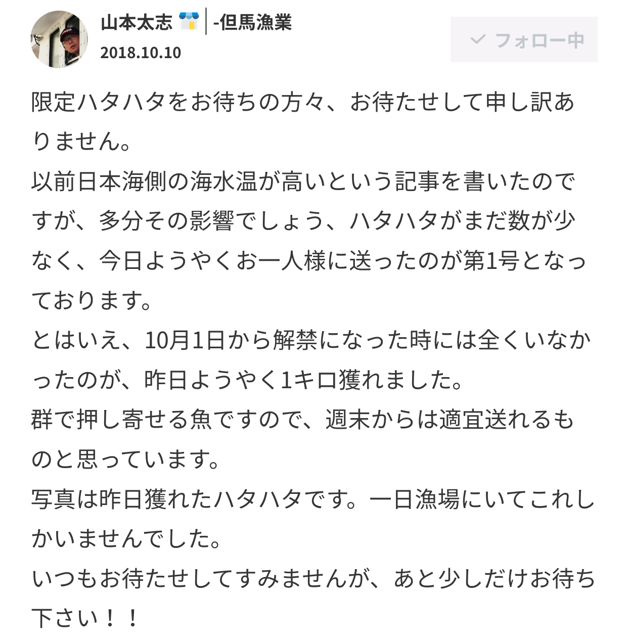 秋田の漁師に聞いた本当に旨いハタハタに出会うためのハタハタ知識 農家漁師から産地直送の通販 ポケットマルシェ