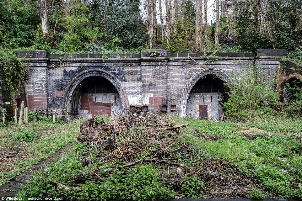 Harringay